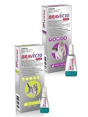 Bravecto Plus Spot On for Cats