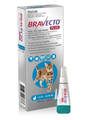 Bravecto Plus Spot On for Cats