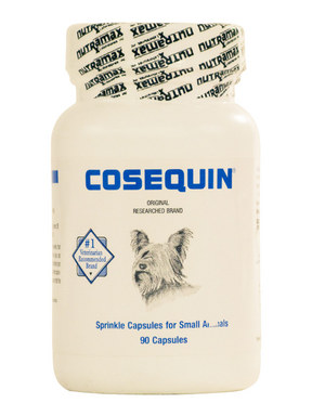 Cosequin Regular Strength