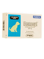 Denosyl for Cats and  Dogs