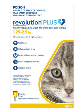revolution for cats
